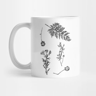 Herbarium Mug